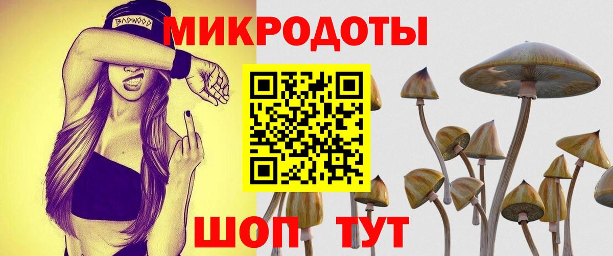 Галлюциногенные грибы GOLDEN TEACHER  Вход с VPN  Тулун 